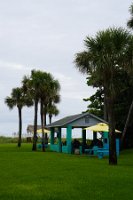 DSC03342