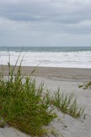 DSC03367