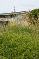 DSC03369