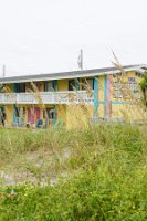 DSC03384