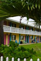 DSC03392
