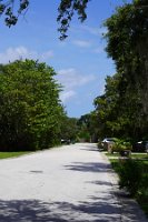 DSC03437