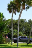 DSC03466