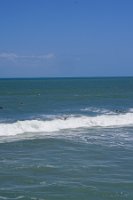 DSC03527