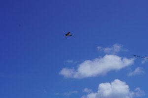 DSC03535
