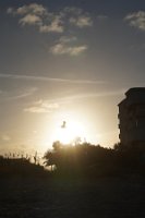 DSC03730
