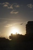 DSC03731