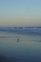 DSC03736