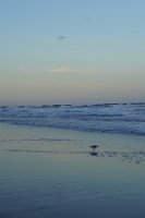 DSC03737