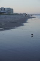 DSC03738