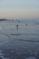 DSC03741
