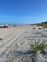 IMG_4460
