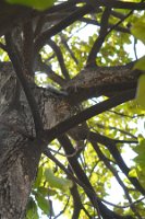 DSC04095
